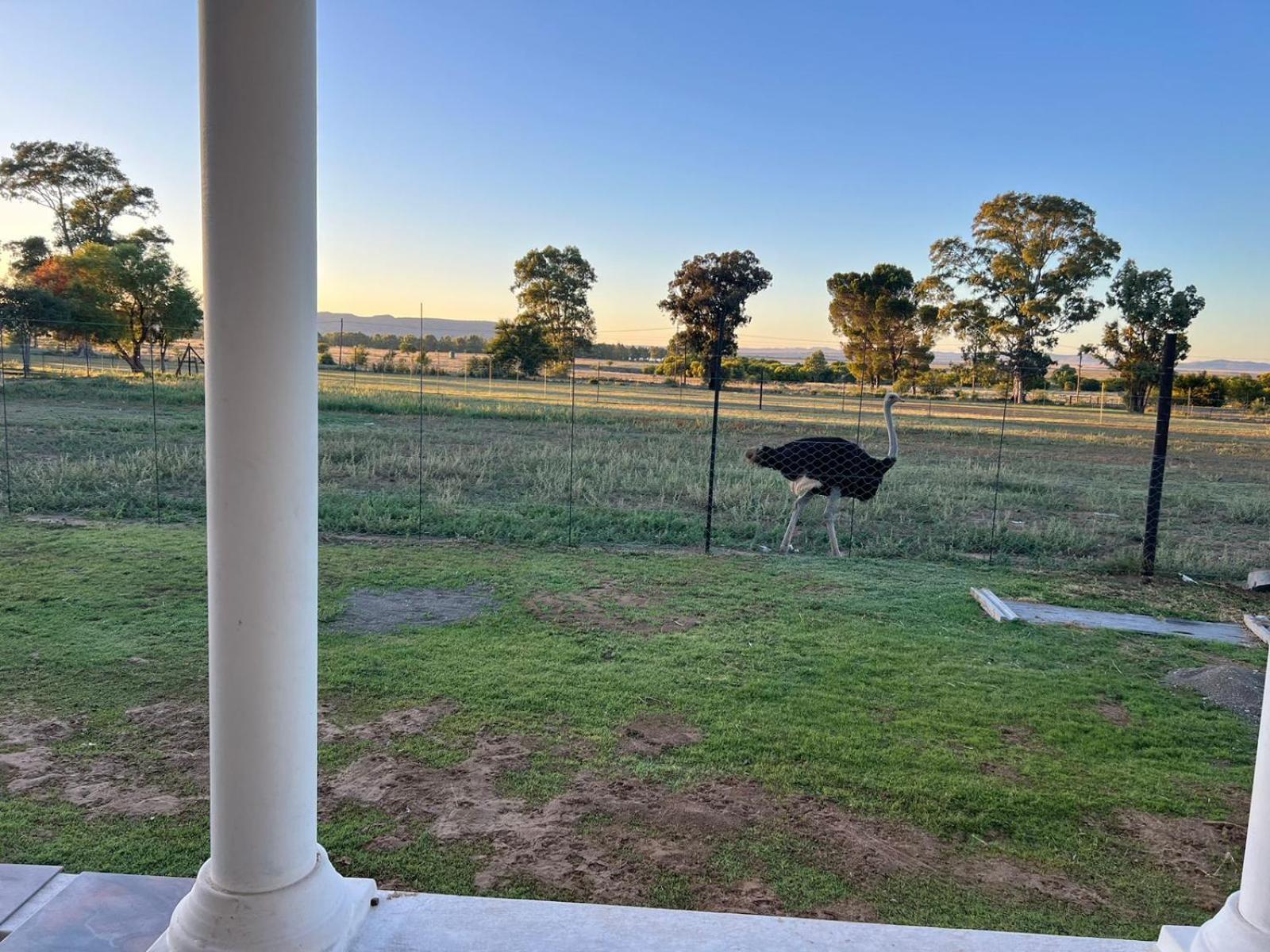 Bethulie Guest Farm Hotel Exterior photo