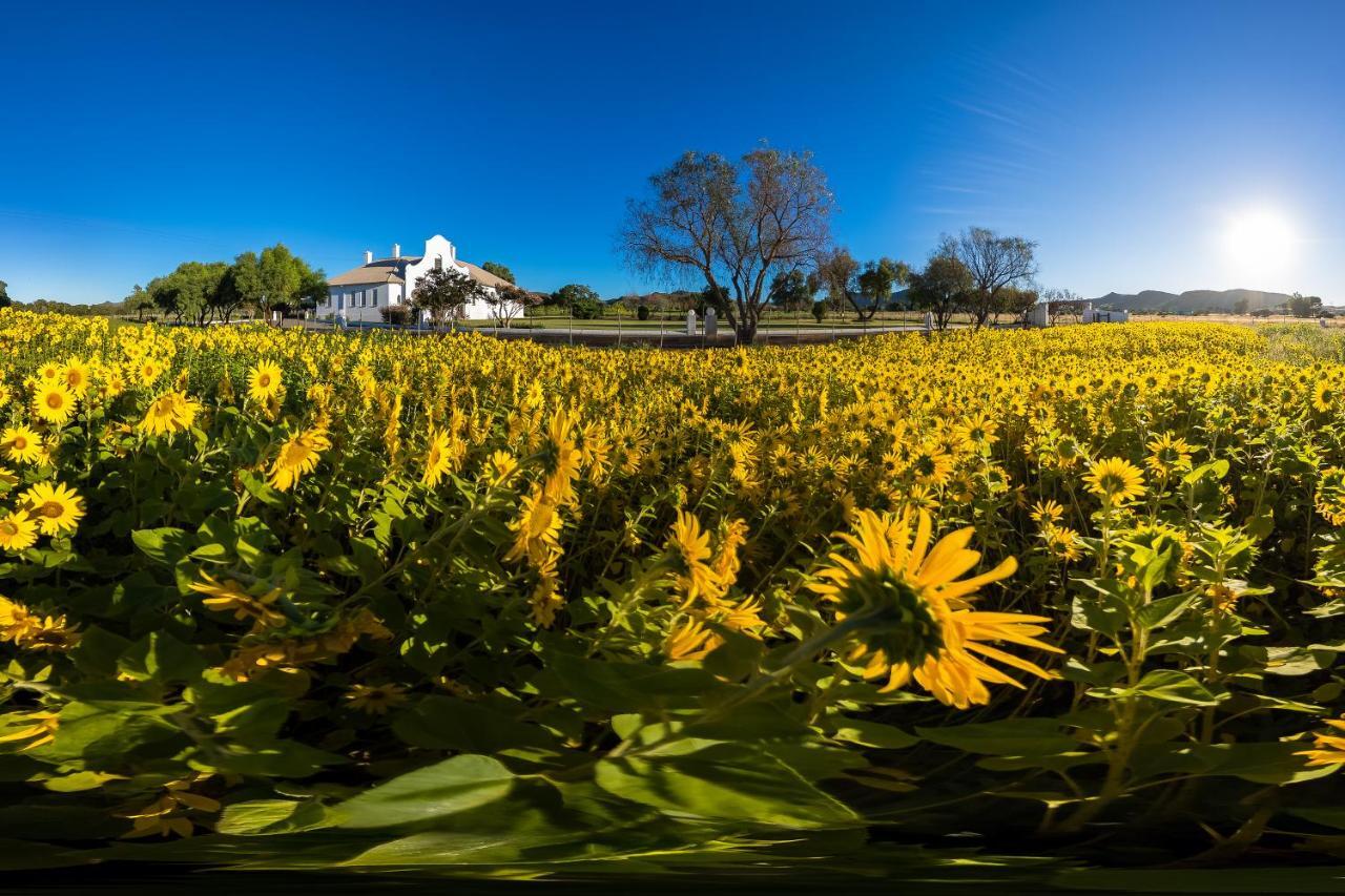 Bethulie Guest Farm Hotel Exterior photo